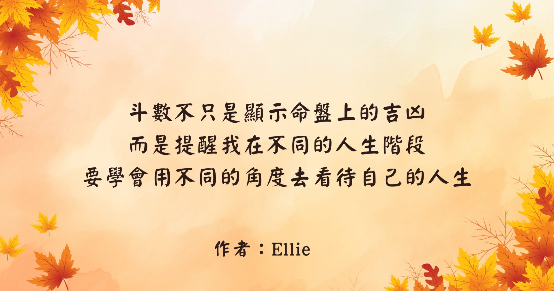 Ellie＿精選圖
